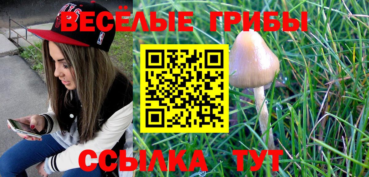 Галлюциногенные грибы GOLDEN TEACHER  Вход с VPN  Верхняя Салда 